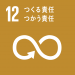 sdg_icon_12