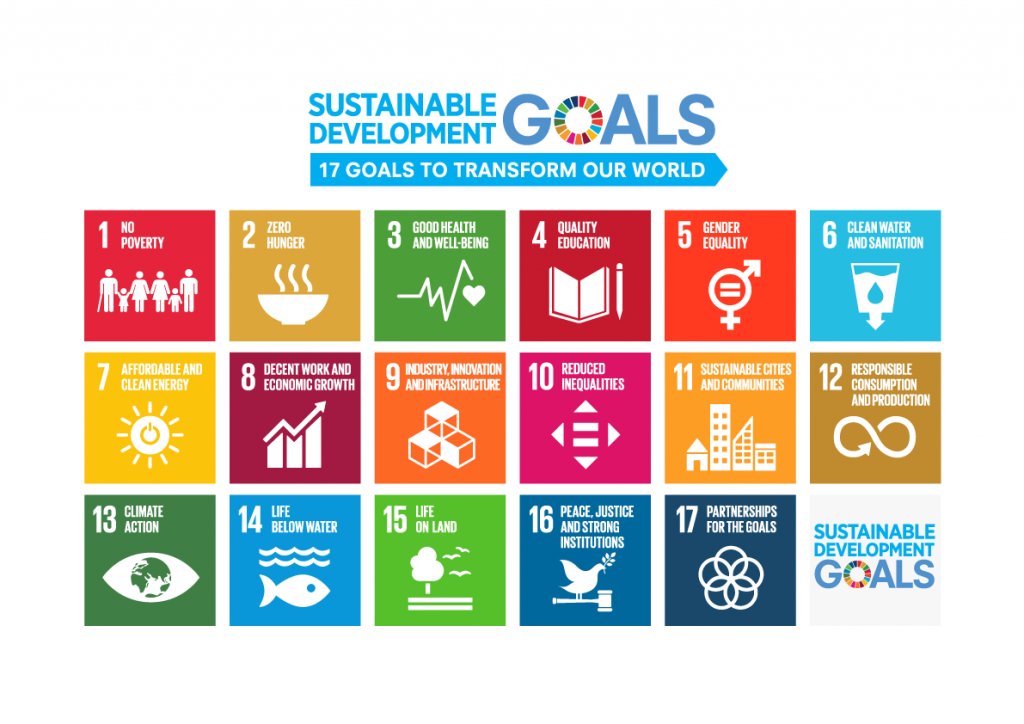 sdg_logo